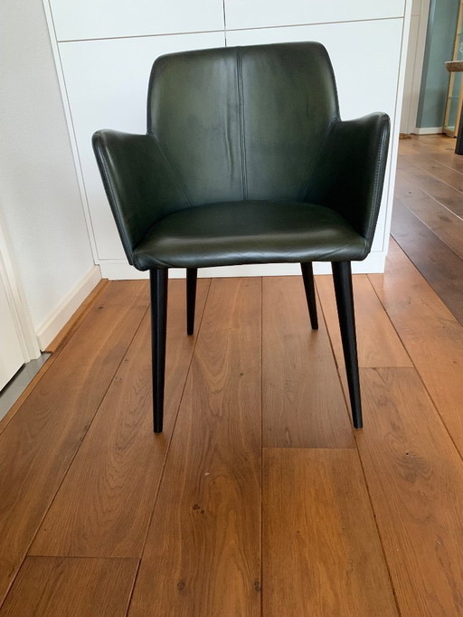 Sedie da pranzo in pelle