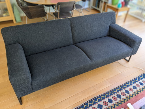 Leolux 2,5-Sitzer-Sofa Adartne