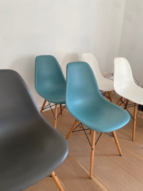 Vitra Eames DSW - Set of 6 (White, grey, blue-green) – Dining chairs, Polyester (photo 5 of 5)