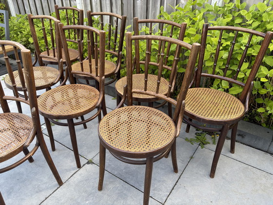 Image 1 of 8 vintage Thonet stijl bistro stoelen Romania webbing zitting