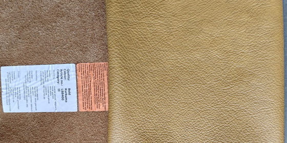 Image 1 of 4 x Bert Plantagie cantilever chairs, new