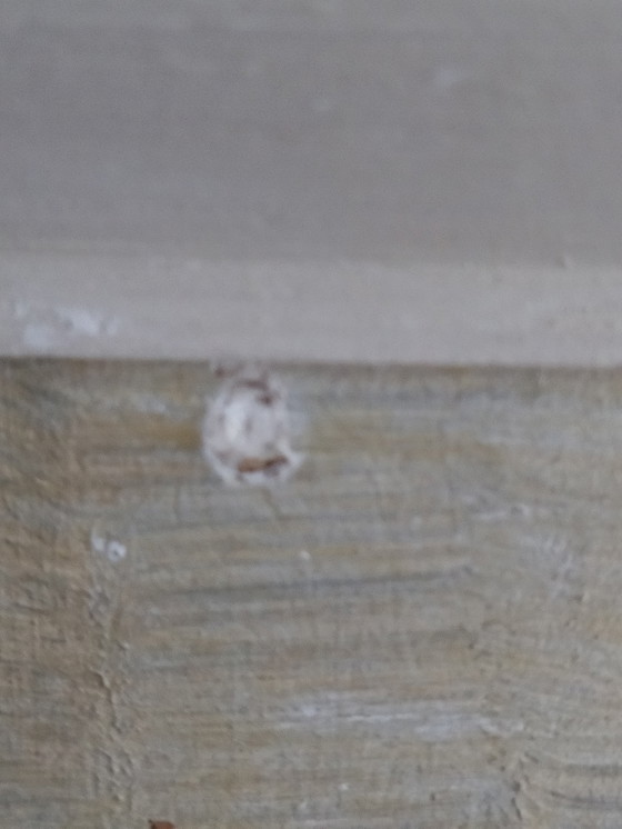 Image 1 of Vintage schilderij