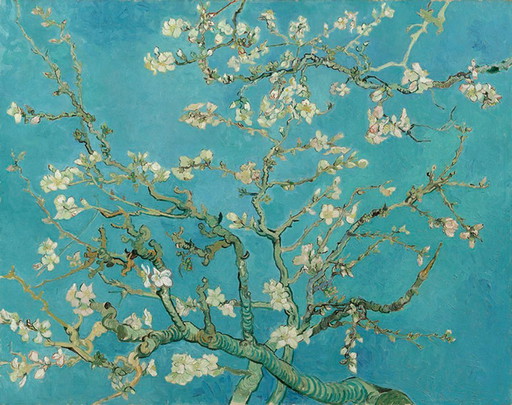 Vincent Van Gogh, Amandier en fleurs (sur toile)