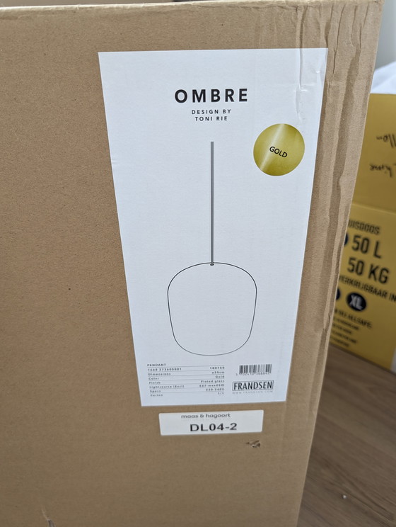 Image 1 of Frandsen Ombre Hanglamp Grijs/Goud by Toni Rie