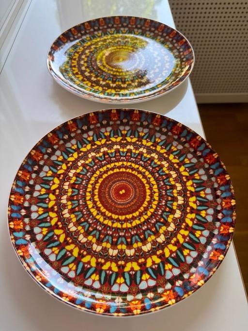 Teller Damian Hirst 
