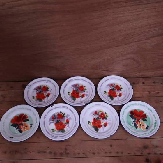 7 bedruckte florale Emaille-Teller "bon voyage" Made in China – Geschirr, Vintage (photo 4 of 12)