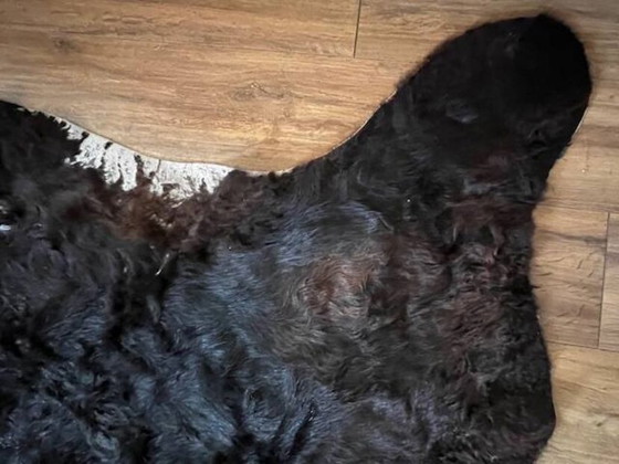 Image 1 of Tappeto, pelle di vacchetta marrone