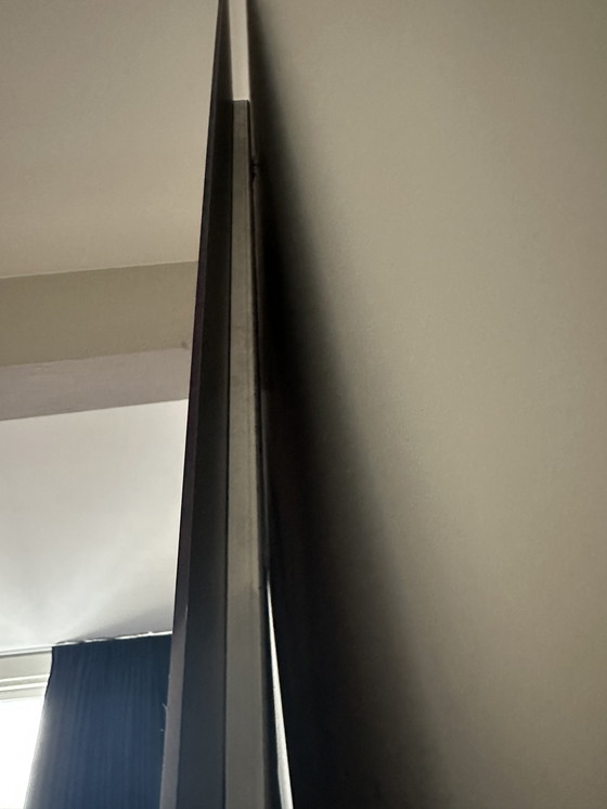 Image 1 of Cobra Art Plexiglas kunst