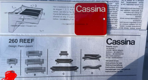 Image 1 of Cassina Reef Piero Lissoni twee stuks als Nieuw!