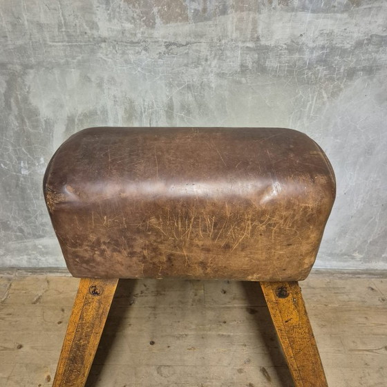 Image 1 of Vintage turnpaard, Tsjecho-Slowakije, jaren 60