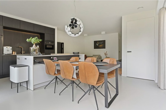 Image 1 of Artemis Scopas