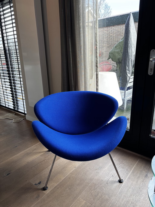 Sedia Artifort arancione lices blu reale