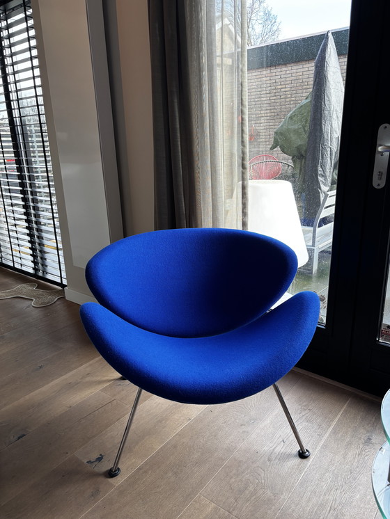 Image 1 of Sedia Artifort arancione lices blu reale