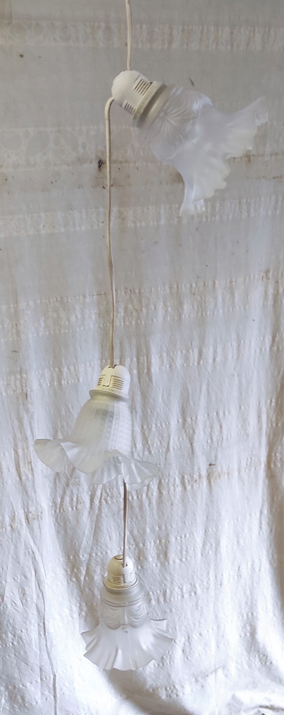 Image 1 of Tre lampade a sospensione a forma di tulipano in pasta di vetro - metà del XX secolo