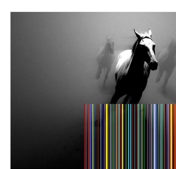 Image 1 of Tehos - Caballos Salvajes - 2026 - Impresión digital - edición limitada