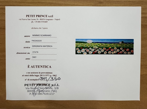 4. Mimmo Sciarrano Siebdruck, 25 x 70 cm Querformat im Rahmen – Lithographien & Drucke, Paper, Wood (photo 5 of 5)