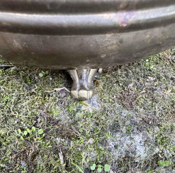 Jardinière leone in ottone del XIX secolo – Vasi per piante, Brass (photo 6 of 7)