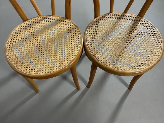 Image 1 of 2 sedie vintage Fameg Thonet in rattan