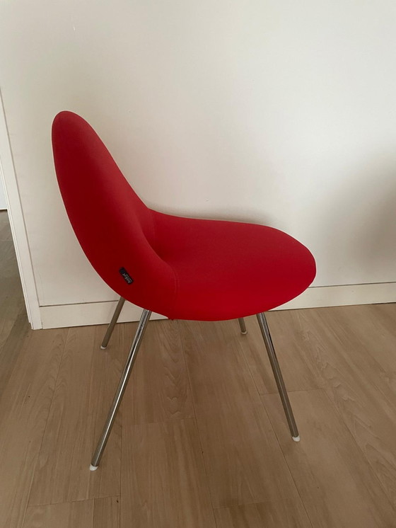 Image 1 of 4X Artifort Conco Chair / Fauteil