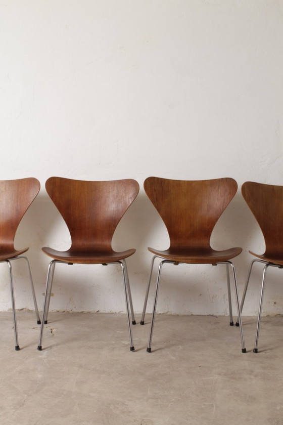 Image 1 of Juego de 5 sillas Serie 7, Arne Jacobsen para Fritz Hansen, 1960-1970.
