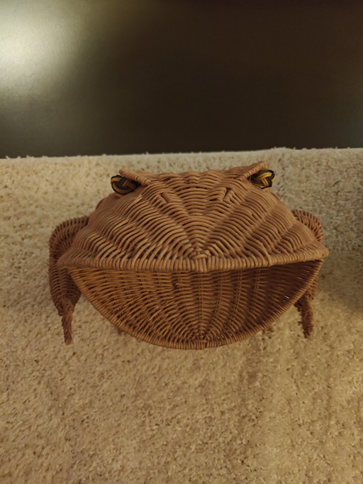 Oliver Cajan rieten guarda la pallacanestro