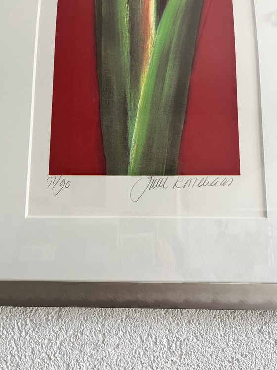 3 Signed Amaryllis Works by Juul Kortkaas – 71/90 – Framed – Lithographs & prints, Paper (photo 3 of 7)