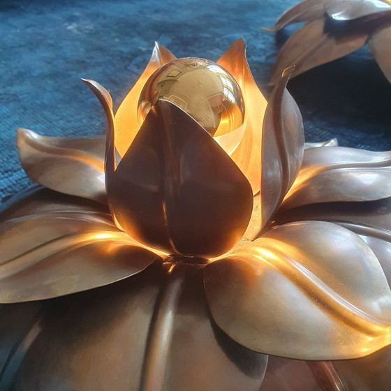 Image 1 of Juego XL de apliques florales de pared/techo - Banci Firenze - Mid-Century - Hollywood Regency
