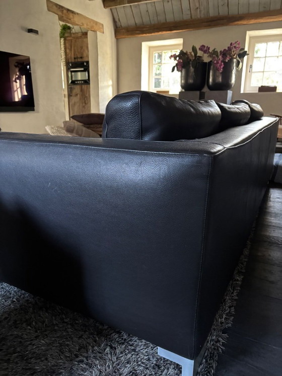 Leder 3-Sitzer Sofa, dunkelbraun, Molinari, 3-5 Sitzer Sofas, Metall, Modern (Foto 4 von 5)