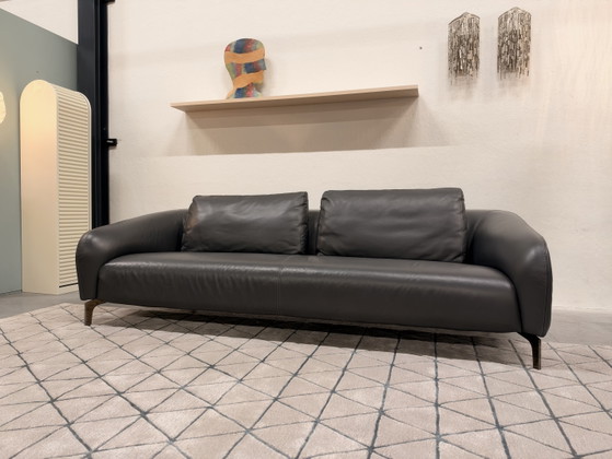 Leolux Elias 3.5-seater Sofa Ceras leather Rock, 3-5 seaters, Multi Color (photo 8 of 8)