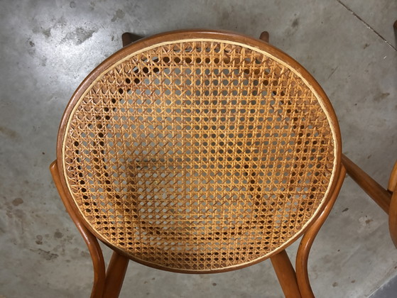 Chaises Thonet 233 Cosmos Sangles Ligna – Chaises de salle à manger, Wood, Rattan (photo 4 of 5)