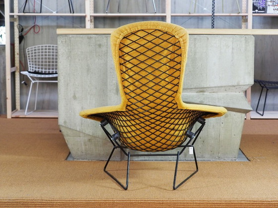 Image 1 of Knoll International Bird Chair mit Hopsack Orange