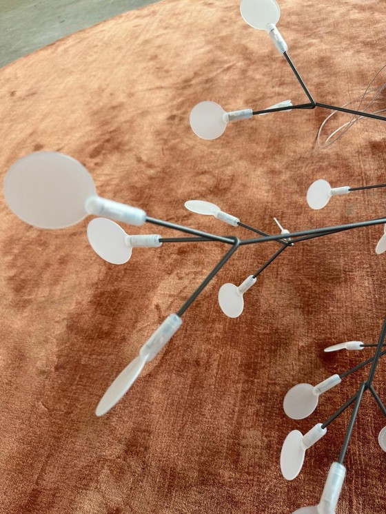 Image 1 of Moooi Heracleum II piccolo nichel