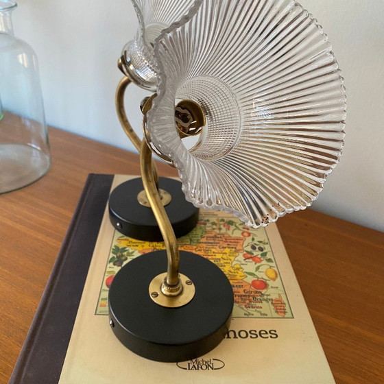 Image 1 of Coppia di applique a collo d'oca in ottone con paralumi a tulipano in vetro trasparente