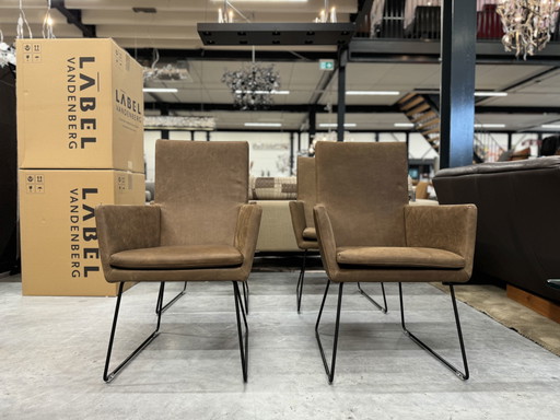 Silla de comedor 4 Label Donna Bald Castanya 