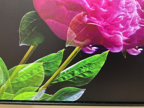 Image 1 of Photography Art on Aluminium 40x60 cm