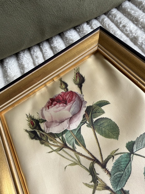 Image 1 of Peintures sur soie encadrées Style Redouté 25x20
