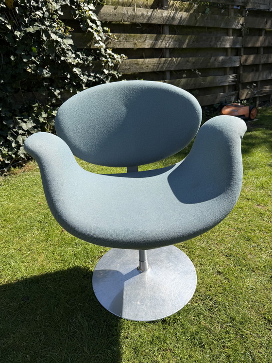 Image 1 of Little tulip Artifort (grey)