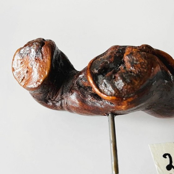 Image 1 of Tire-bouchon français vintage du milieu du siècle, 2 racines en bois de vigne, années 1950