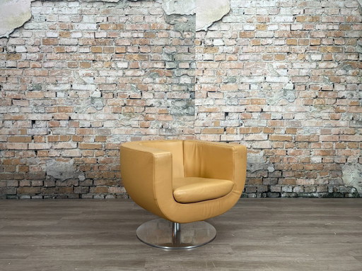 Sillón Tulipán camel de B&amp;B Italia