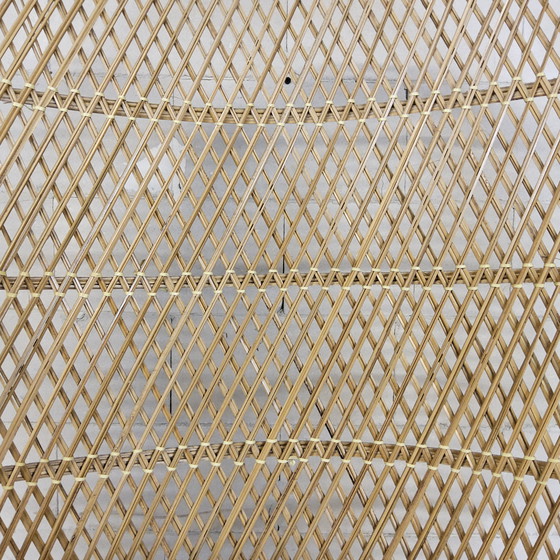 Image 1 of Vintage Rotan Peacock chair Emmanuelle / Pauwen stoel (H150cm) 