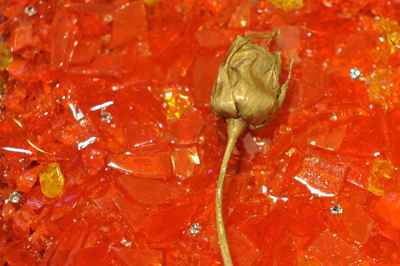 Image 1 of De absolute elegantie van materie en kristal door Vincenzo Marega