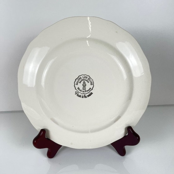 Image 1 of Set of 2 pink Salins-les-Bains plates, pre-1970