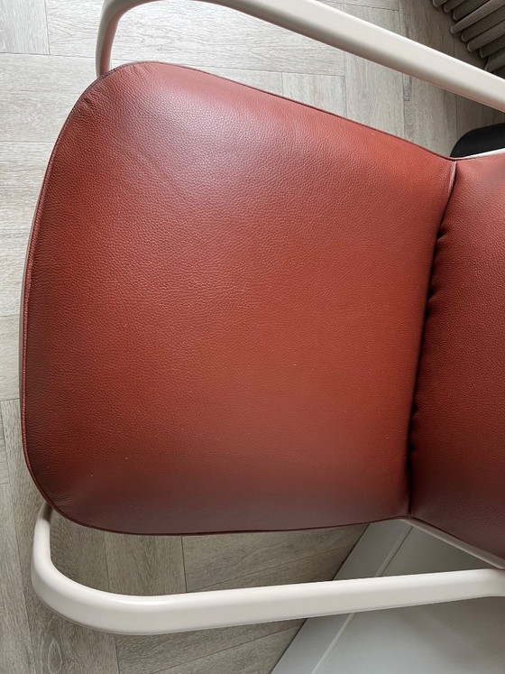 Image 1 of Chap Pode di Leolux in pelle