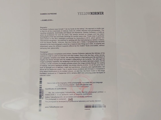 Damien Dufresne – Kameleon | Original Photograph YellowKorner – Photography, Paper (photo 3 of 5)