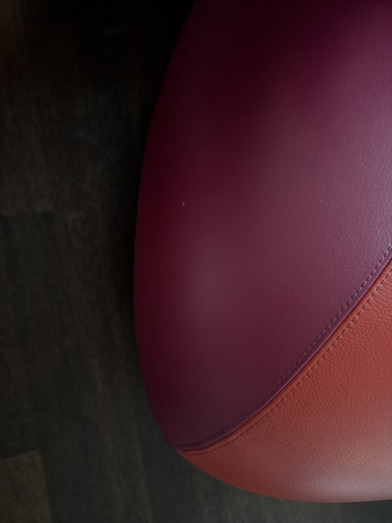 Leolux Pallone e Puppy Pallone – Poltrone, Leather, Chrome (photo 5 of 5)