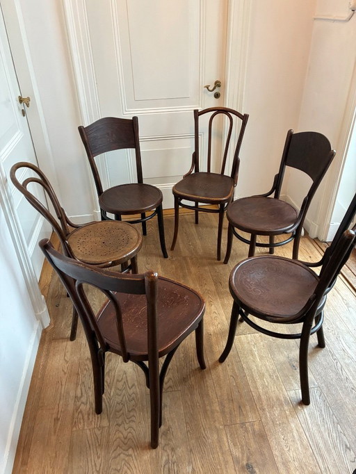 6 chaises de salle à manger Thonet assorties.