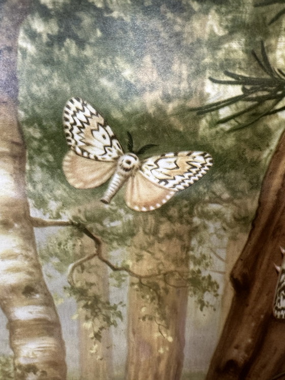 Carte scolaire vintage en lin - Dans la forêt (M.A. Koekkoek) – Wolters, Décorations murales, Wood, Paper (photo 4 of 14)