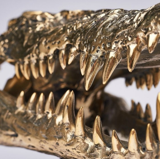 Image 1 of Sooka Sculpture, saltwater crocodile skull 37 cm bronze