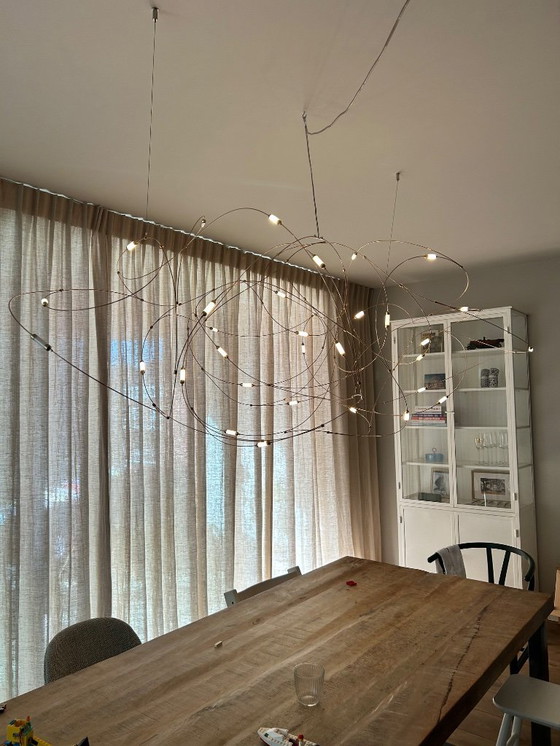 Image 1 of MOOOI - stormo di luce 31