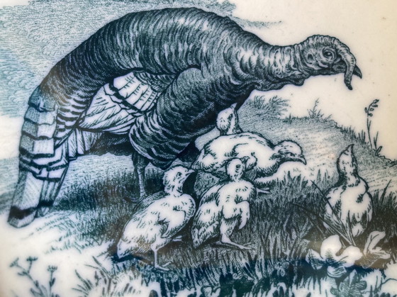 Image 1 of Charmante Geschulpte Schaal 19e-eeuws Wedgwood